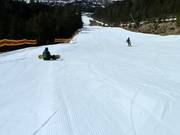 Easy slope at the Brandlift