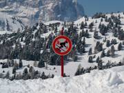Entering forest areas is prohibited