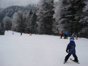 Upper part of the slope on the Rabenkopf