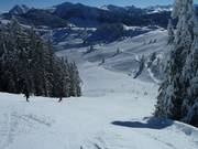 Steep slope at the Strassalmbahn