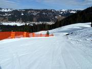 Family slope