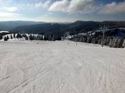 Wide, easy slope at the Zeigerbahn