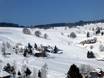 Dreisamtal: size of the ski resorts – Size Schauinsland – Hofsgrund