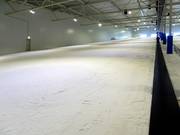 The left main slope