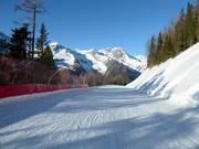 Easy Family Slope 3
