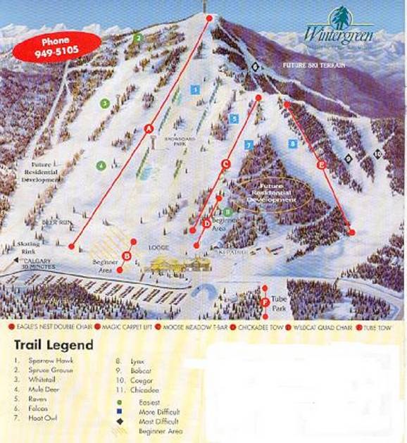 Wintergreen
