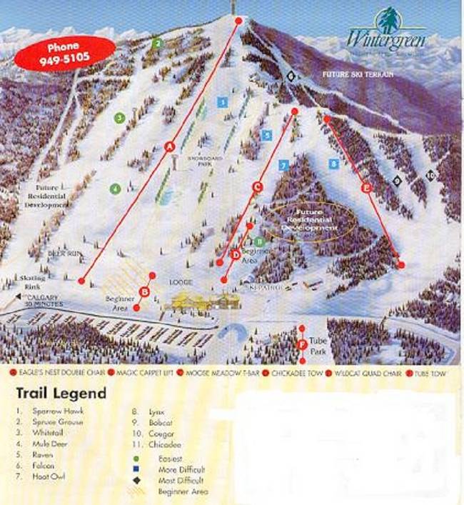 Wintergreen Wintergreen