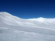 View of the easy slopes at the Glacier platter lift