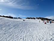 Easy slope Woodrun