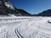 FIS lake trail