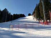 Catalone Miramonti downhill run