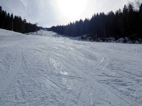 Slope preparation Republika Srpska – Slope preparation Ravna Planina