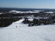 Slope 33 (Masto II)
