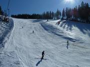 Ahornbühl run