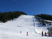 Panorama run