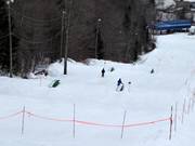 Parc Intro Stoneham