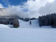 Snow Gun slope