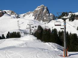 Stelli