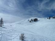 Open ski terrain