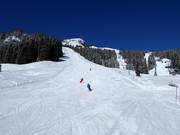 IF1a Ifoly descent