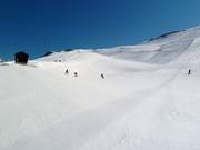 Slope Gonenstein