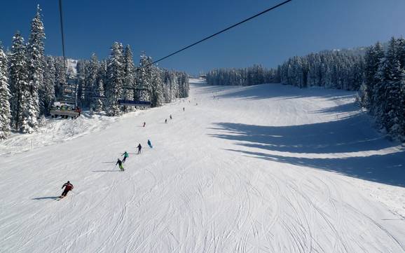 Slope offering Laternsertal – Slope offering Laterns – Gapfohl
