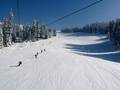 Slopes Laterns – Gapfohl