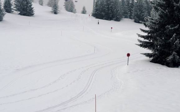 Cross-country skiing Chamonix-Mont-Blanc – Cross-country skiing Les Houches/Saint-Gervais – Prarion/Bellevue (Chamonix)