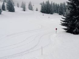 Les Houches/Saint-Gervais – Prarion/Bellevue (Chamonix)