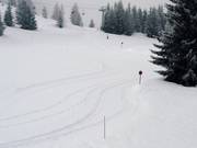 High-altitude cross-country trail on the Plateau du Prarion