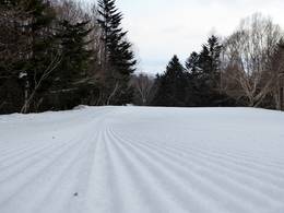 Furano