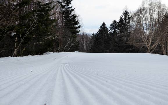 Slope preparation Prince Snow Resorts – Slope preparation Furano
