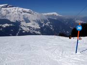 Easy slope Wengen-Wengernalp