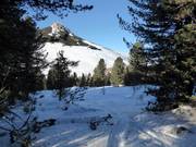 Gentle tourism in the Jochgrimm ski area