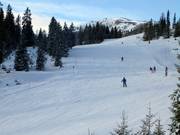 Intermediate slope at the Family Shuttle