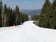 Mechi Chal slope