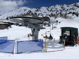 Snowpine