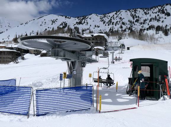 Snowpine