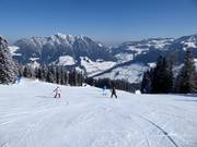 Ast downhill run
