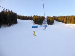 Zieleniec