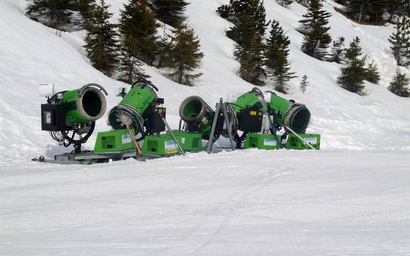 Snow reliability Portes du Soleil – Snow reliability Les Portes du Soleil – Morzine/Avoriaz/Les Gets/Châtel/Morgins/Champéry