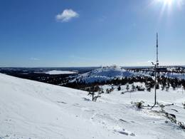 Ruka