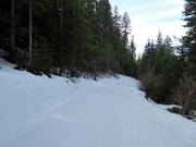 Easy forest run