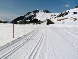 Aletsch Arena – Riederalp/Bettmeralp/Fiesch Eggishorn