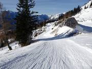 Start of the FIS downhill at the Loser Hütte