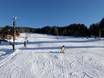 Slope offering Bohemian Forest (Šumava) – Slope offering Samoty