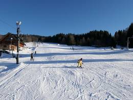 Samoty
