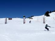 Parallel slalom