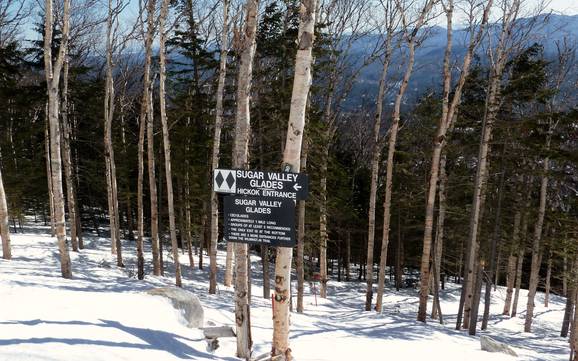 Ski resorts for advanced skiers and freeriding Adirondack Mountains – Advanced skiers, freeriders Whiteface – Lake Placid