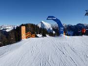 Familypark Roßkopf